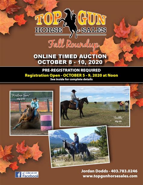 Location: Baytown Fairgrounds - 7900 N. . Fall roundup horse sale results